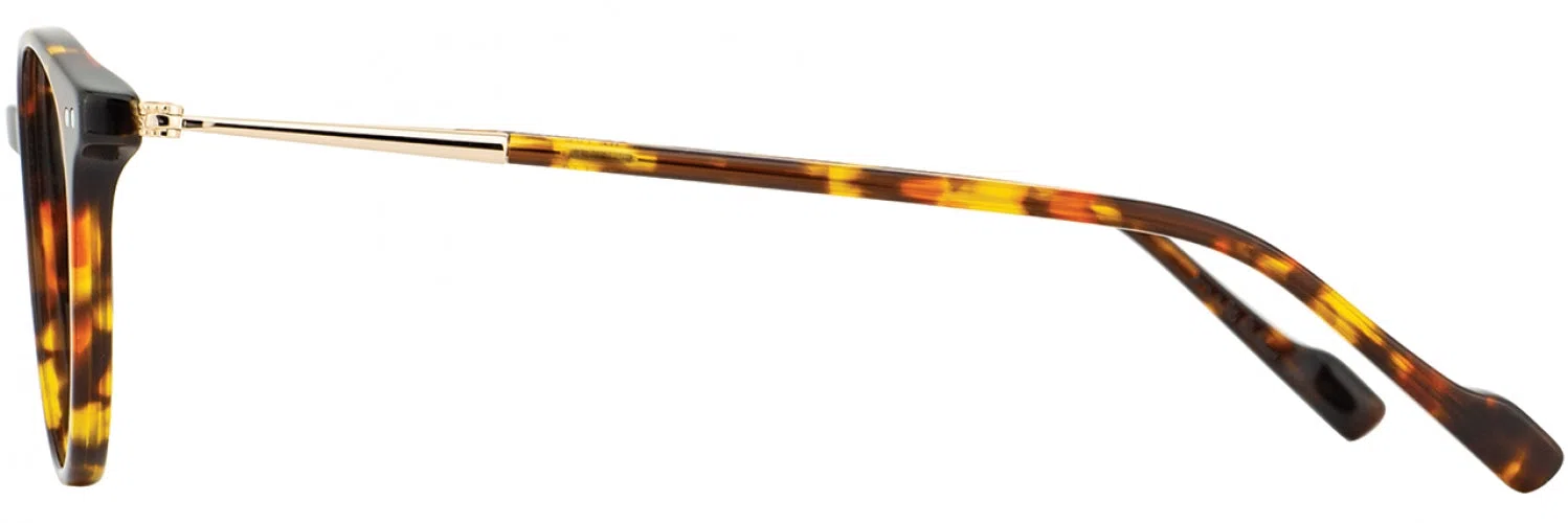 Scott Harris SHVIN53 Eyeglasses - view 11